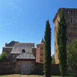 20250807_122347 (Small)