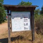 20250807_123117 (Small)