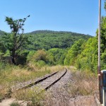 20250807_130826 (Small)