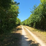 20250807_135826 (Small)