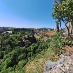 20250807_152631 (Small)