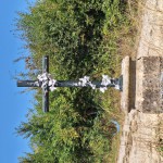 20250808_142529 (Small)