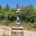 20250808_142529 (Small)