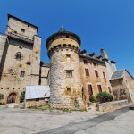 20250808_151620 (Small)