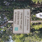 20250808_151745 (Small)