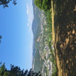 20250808_154955 (Small)