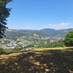 20250808_155011 (Small)