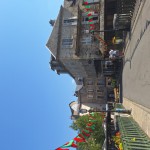 20250808_160422 (Small)